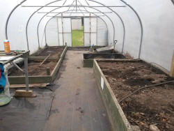 School Polytunnel initial prep